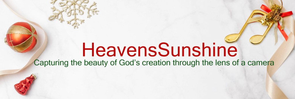 A festive arrangement featuring an ornament, a bell, and decorations on a marble background with the text 'HeavensSunshine' and a tagline about capturing beauty through photography.