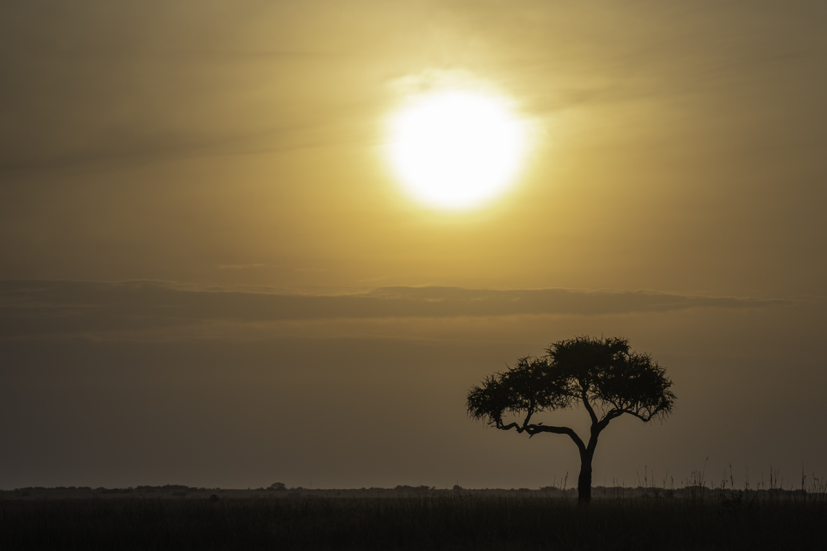 Sunrise over Africa