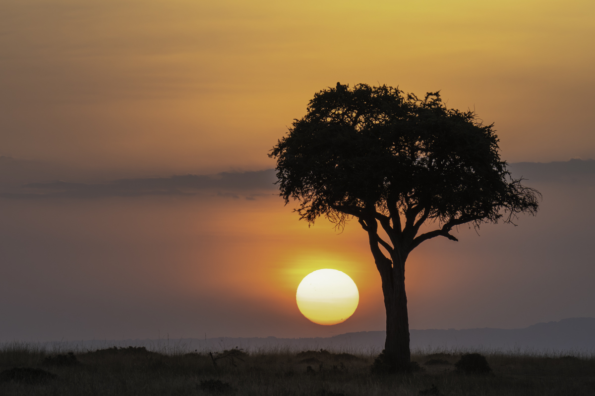 Setting sun