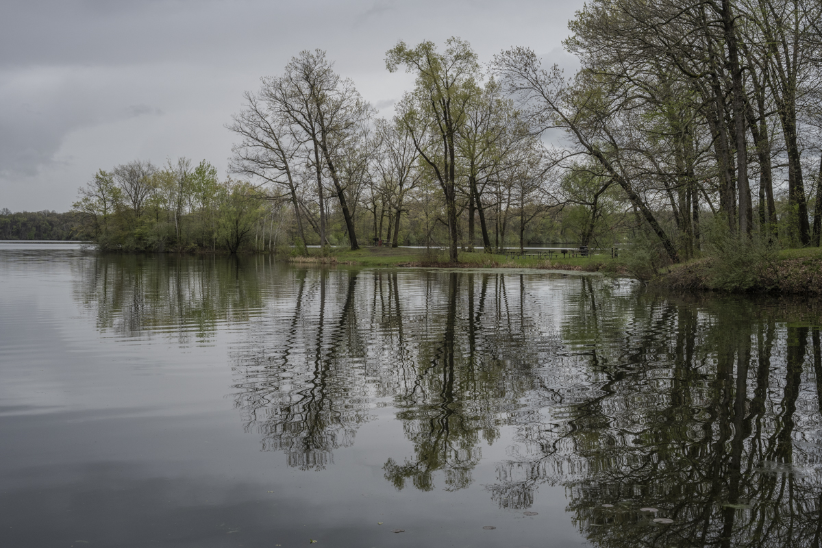 A Morning of Serenity