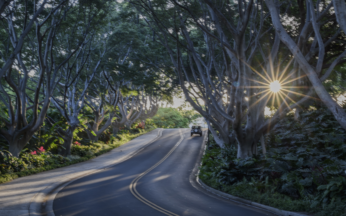 The Road to Adventures in Maui