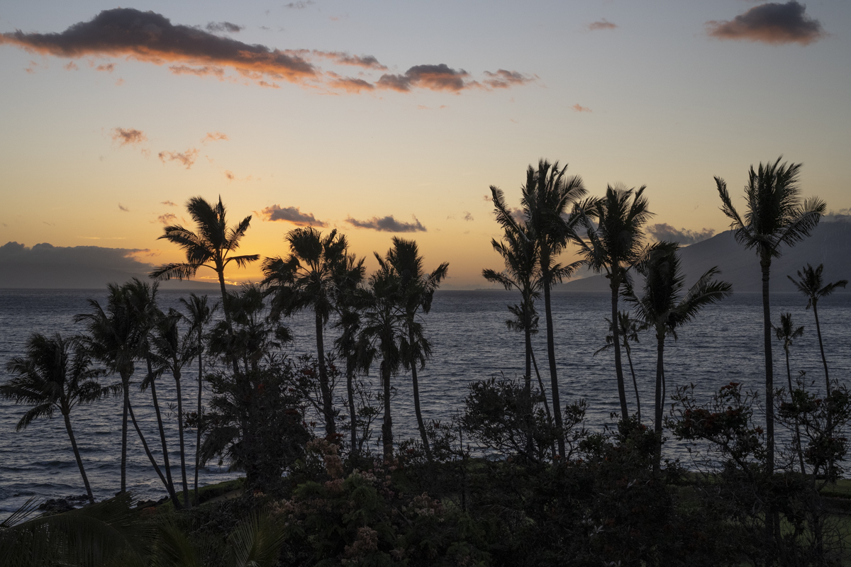 Dawn’s First Light