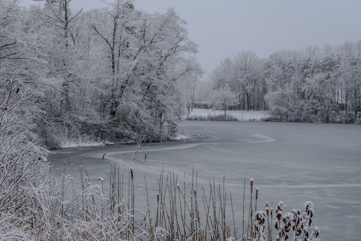 wintry day