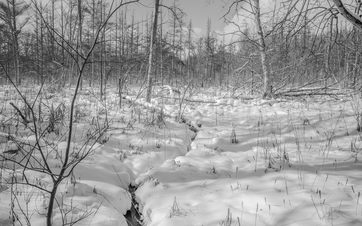 winter storm
