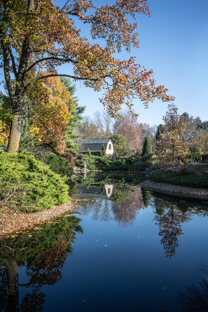 Reflections in Blue