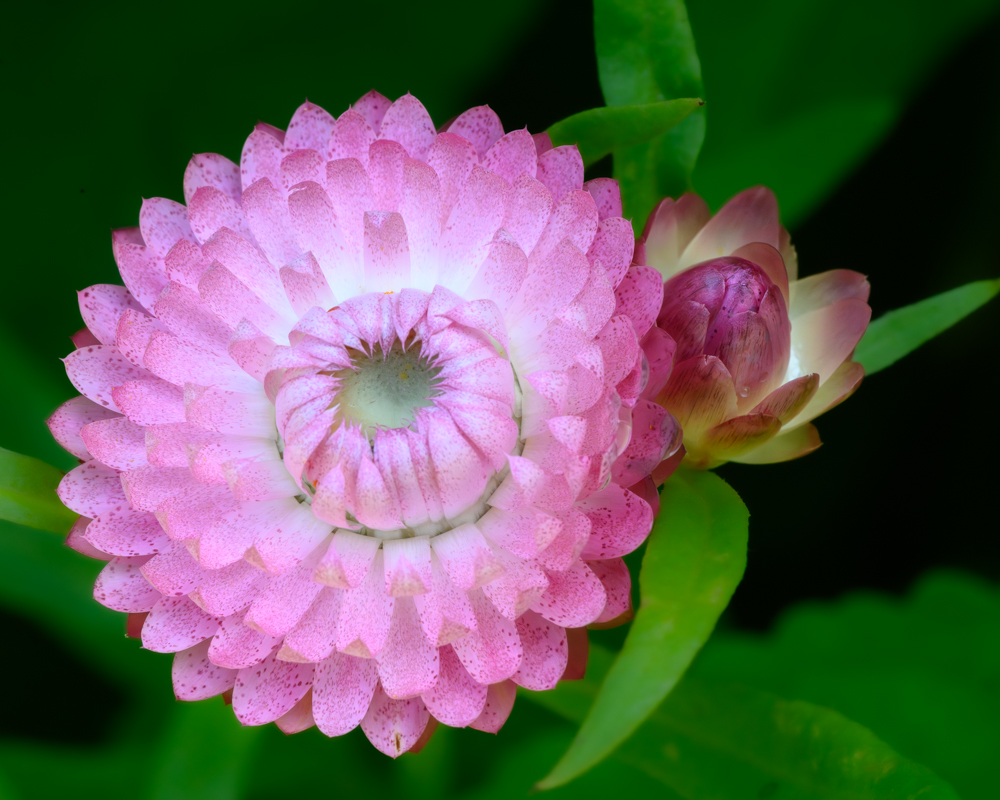 Symmetry in Nature