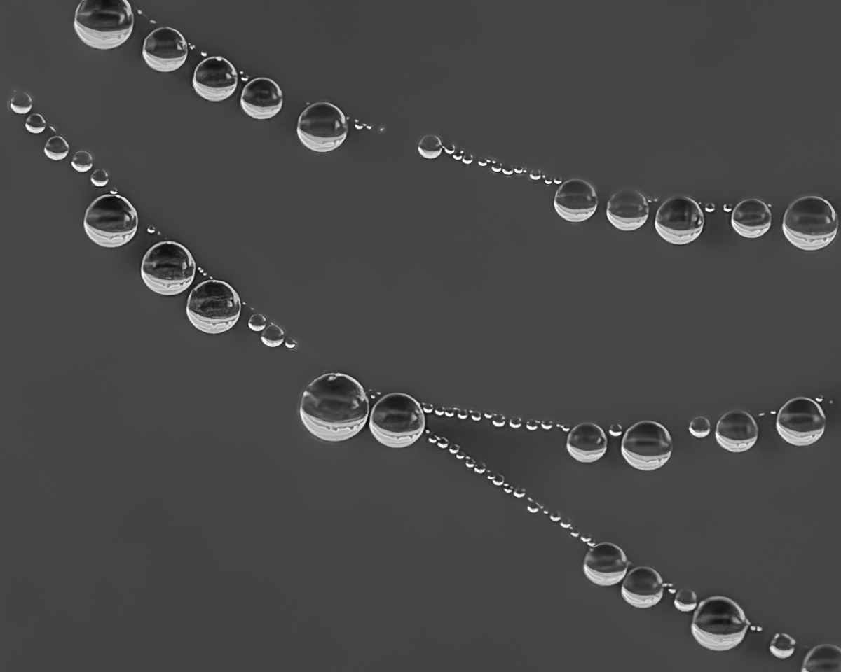 Raindrops on a Web