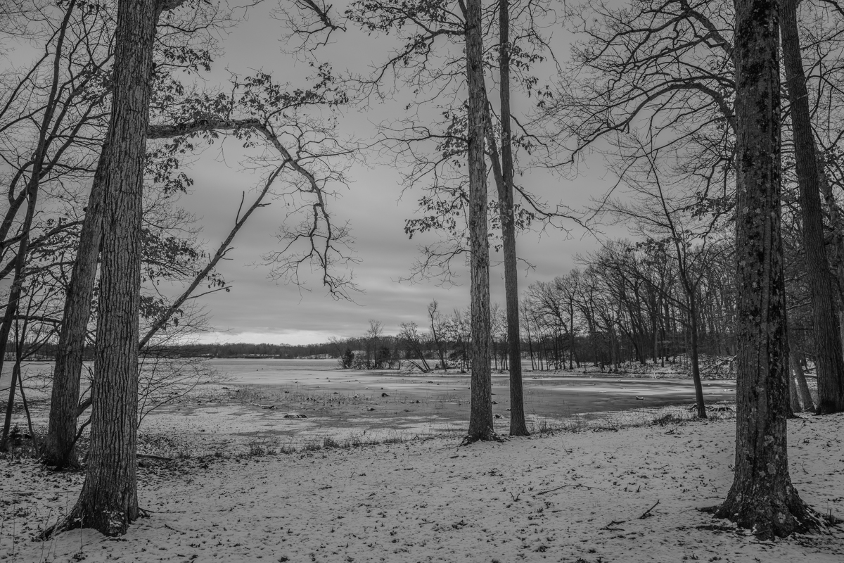 Trails Close to Home