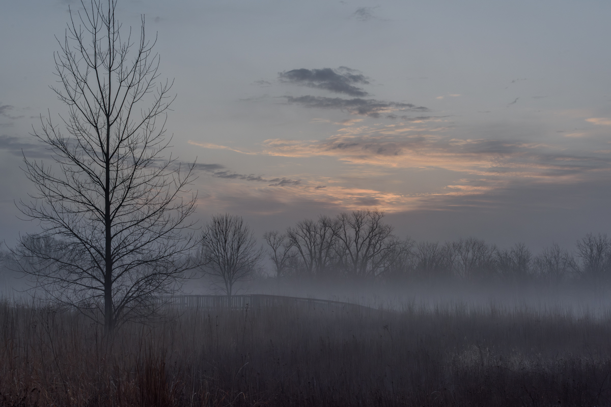 carefree calmness