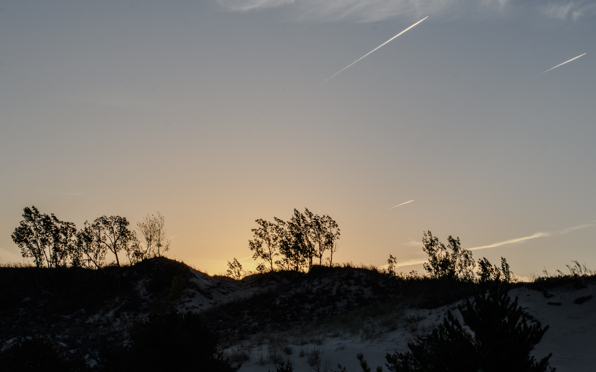 Silhouettes at Sunrise