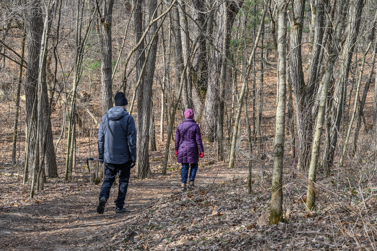 One Step at a Time #2