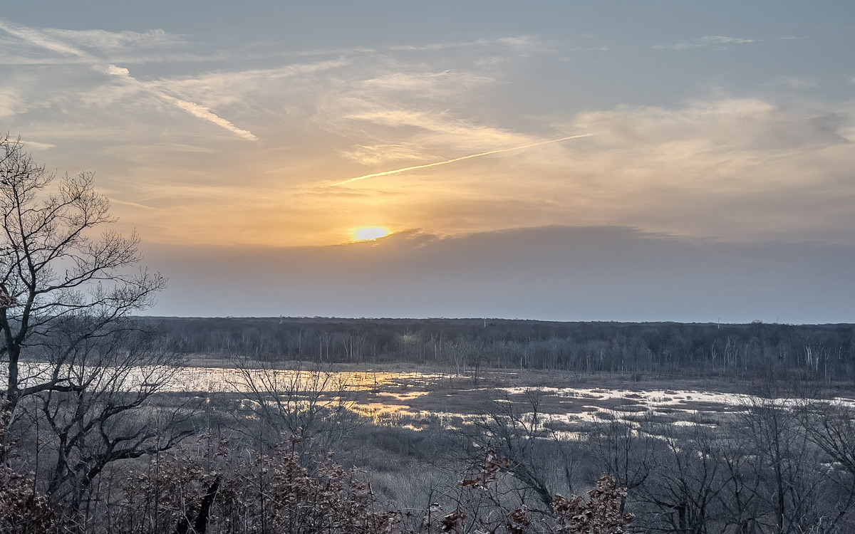 Sunrise Over the Treetops