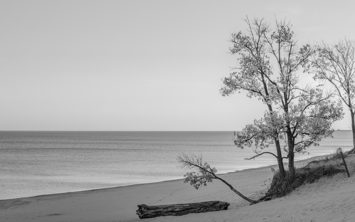 Take in the Quietness