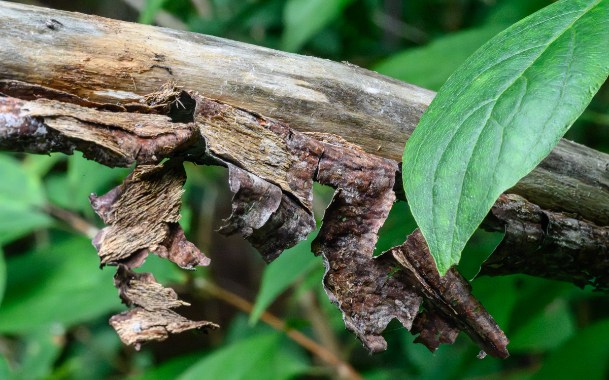 Textures in the Outdoors