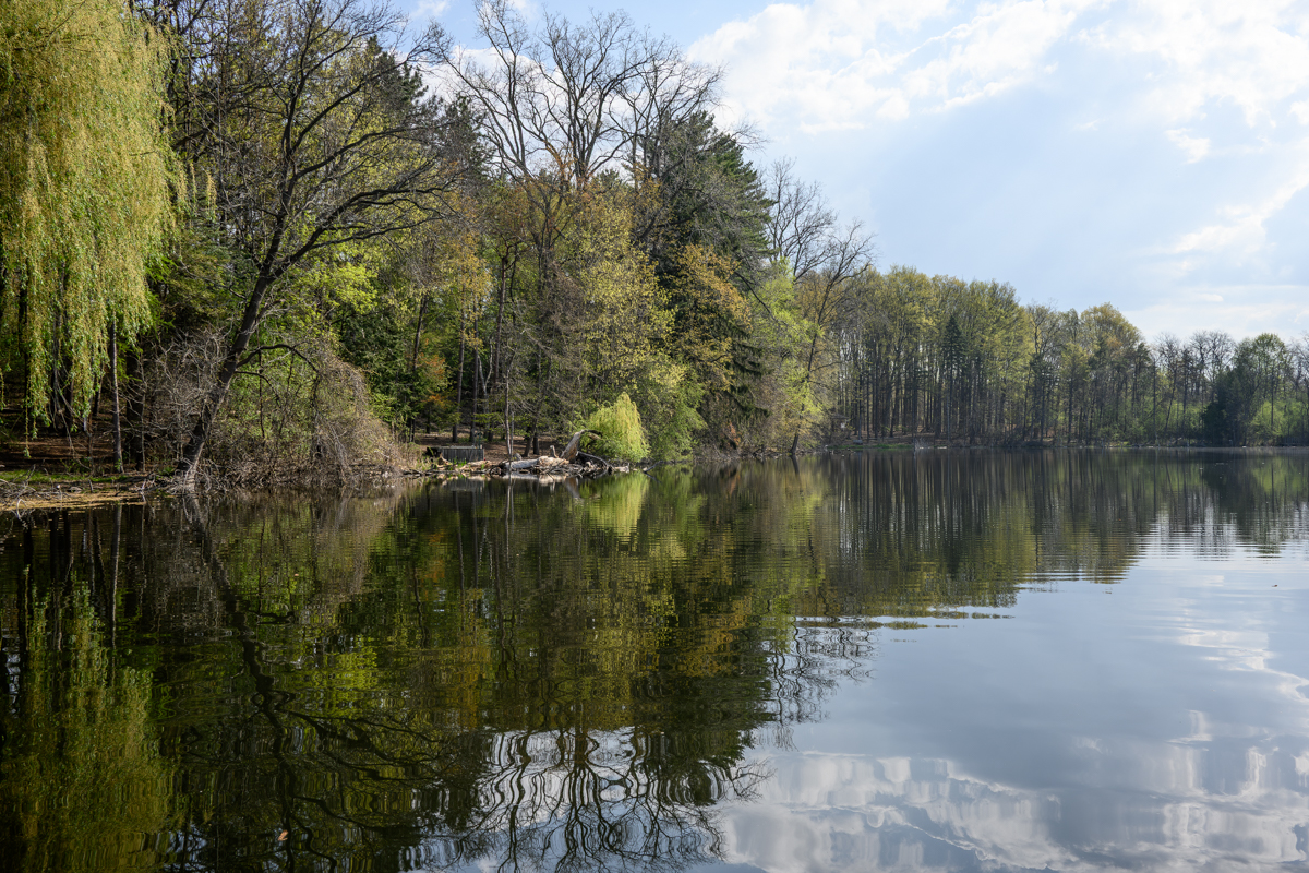 Peaceful Reflections