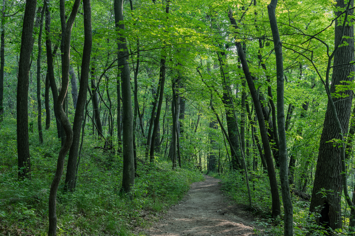one trail, two seasons