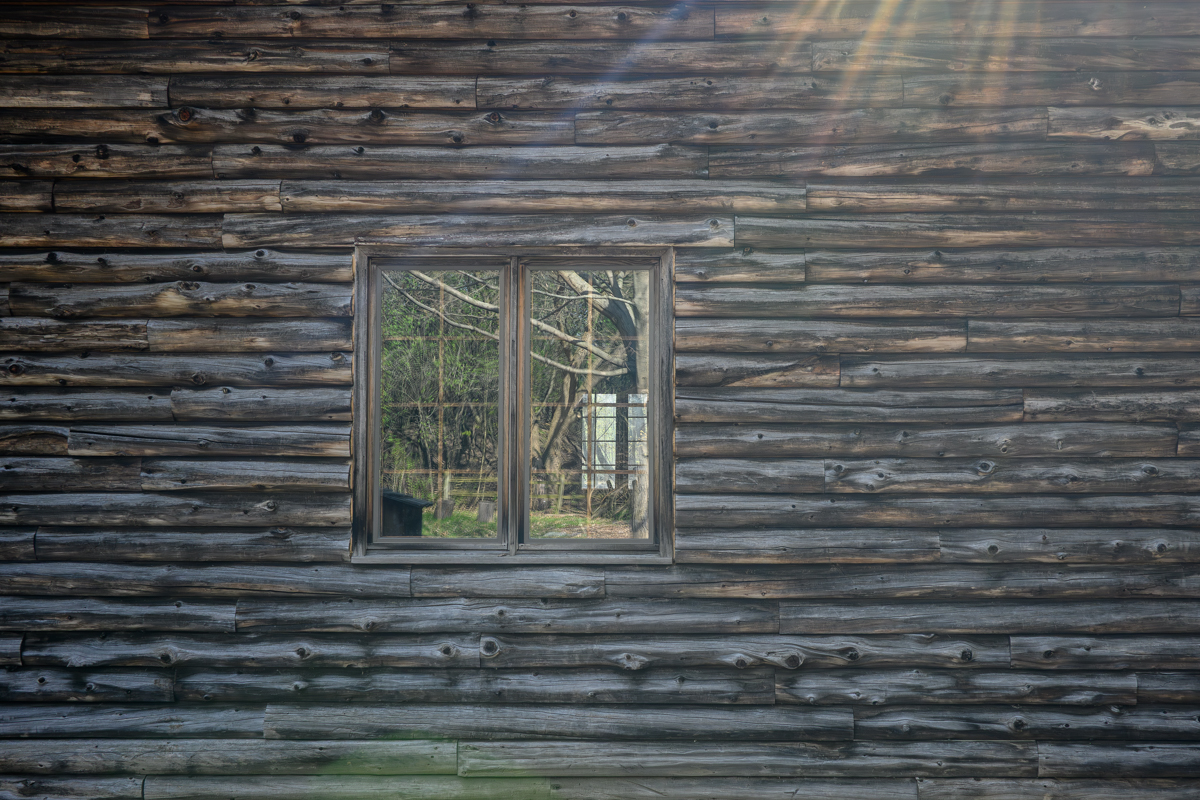 A Sunlit Window