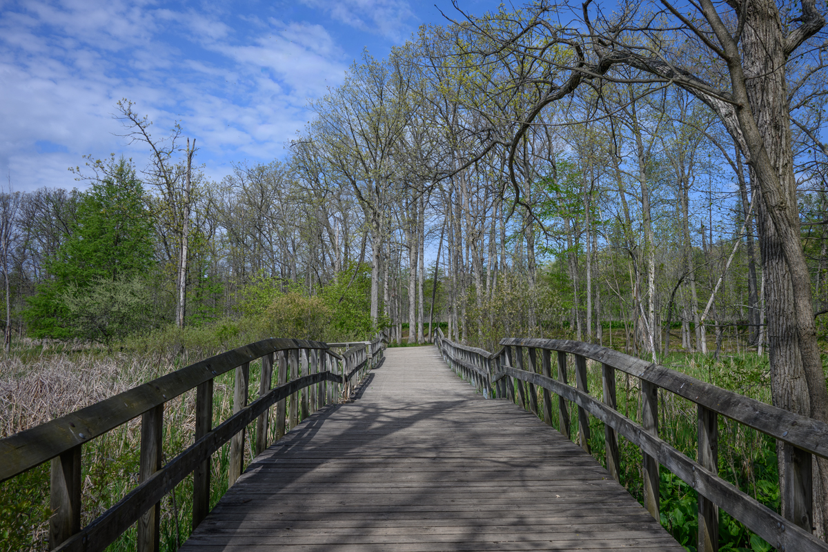 The Long Boardwalk