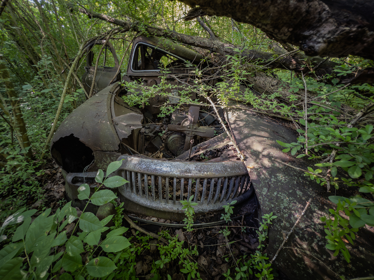 Forgotten in Time