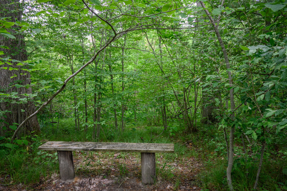 A Place for Solitude
