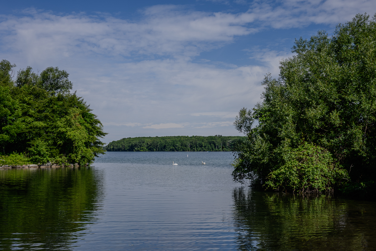 Tranquil Morning
